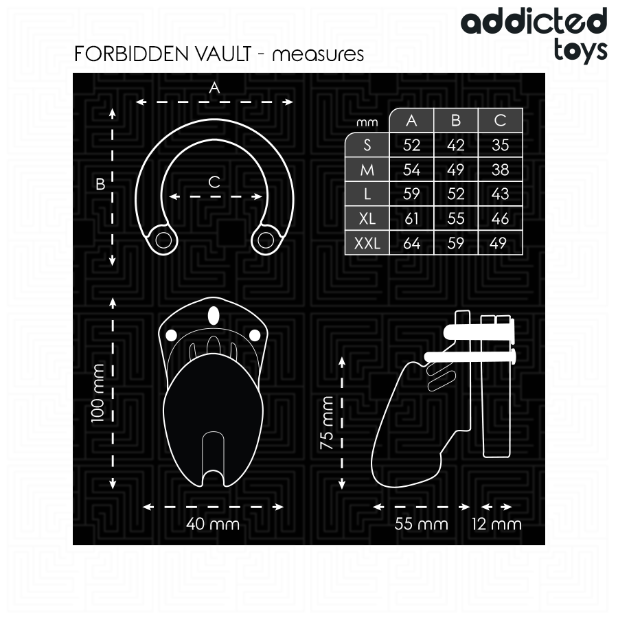 ADDICTED TOYS LOCKED - GAIOLA PARA PÊNIS FORBIDDEN VAULT 10 CM